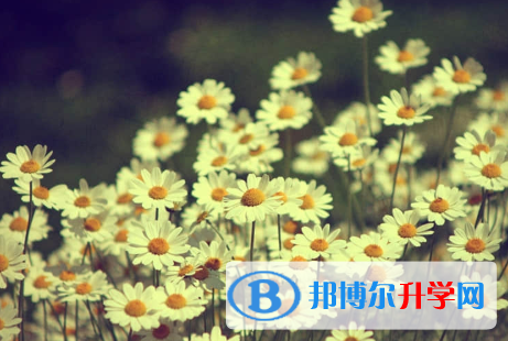 保定2021年中考網(wǎng)絡服務平臺