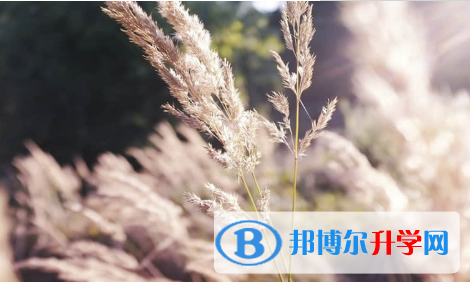 保定2021年中考網(wǎng)絡(luò)應(yīng)用平臺