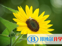 保定2021年中考線出來(lái)了嗎