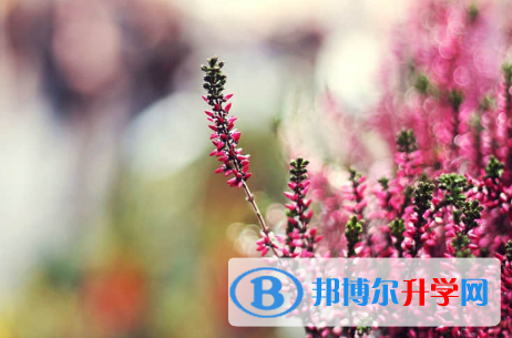 保定2021年中考預(yù)估重點(diǎn)線