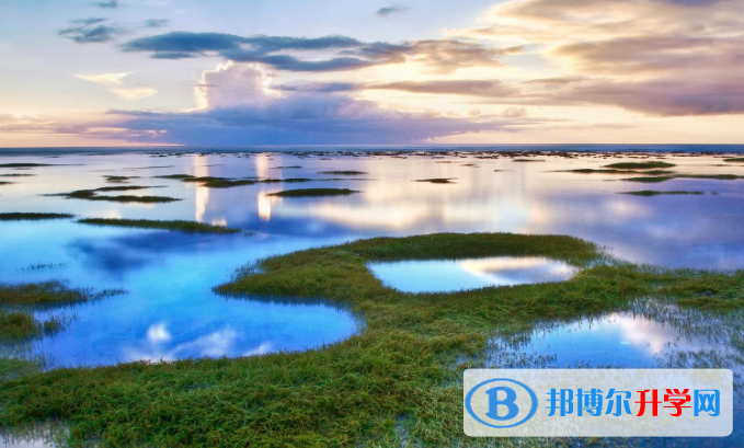 石家莊2021年中考重點(diǎn)線是多少