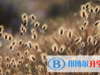 唐山2021年中考考點有哪幾個