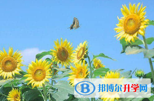 唐山2021年中考錄取報名網