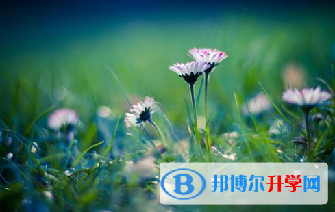 唐山2021年中考錄取規劃線