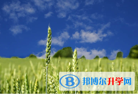 唐山2021年中考網絡登錄