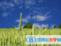 唐山2021年中考網絡登錄