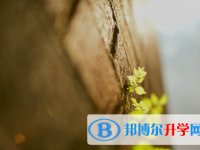 唐山2021年中考網絡服務平臺