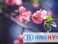 唐山2021年中考網絡服務應用平臺