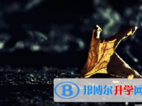 唐山2021年中考網絡應用服務平臺