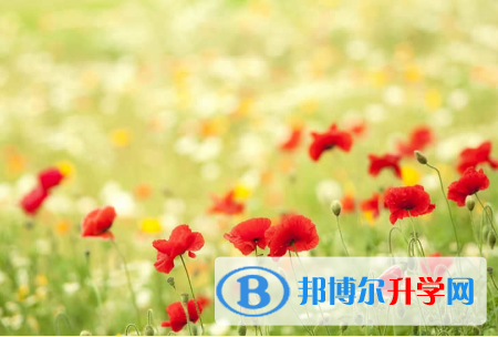 唐山2021年中考網絡應用平臺