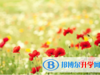 唐山2021年中考網絡應用平臺