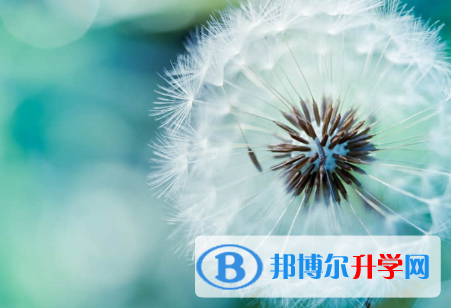 唐山2021年中考網上學校