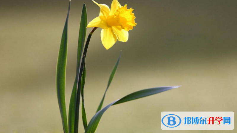 石家莊2021年中考報(bào)名是哪個(gè)網(wǎng)站