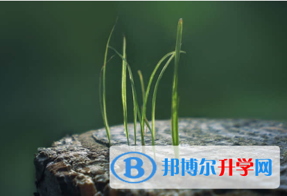 秦皇島2021年今年中考統招線包括哪些區域