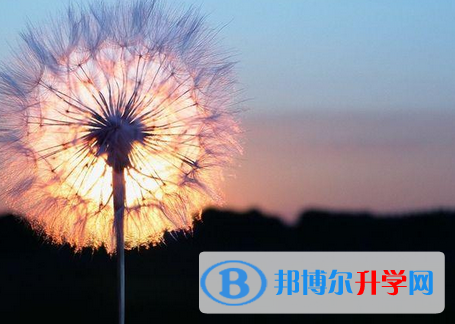 邯鄲2021年中考沒考好可以復(fù)讀嗎