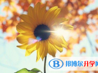 邯鄲2021年什么是中考調劑生