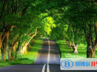 邯鄲2021年中考網上志愿如何打印