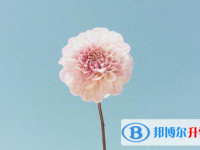邯鄲2021年優志愿中考版