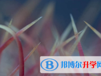 秦皇島2021年中考網絡應用服務平臺登錄