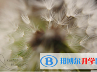 秦皇島2021年優志愿中考版