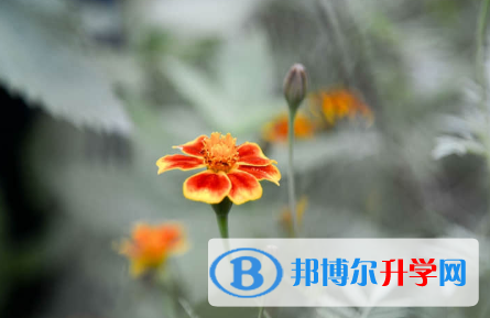 秦皇島2021年中考調劑志愿
