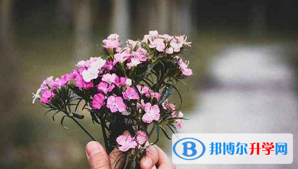張家口2021年如何查詢中考成績(jī)單