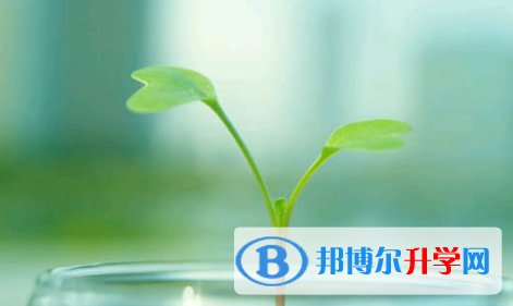 秦皇島2021年查詢中考成績(jī)