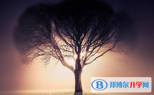 張家口2021年怎樣從網上查詢中考成績