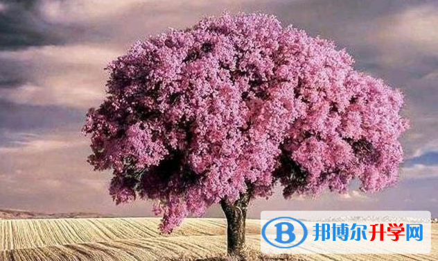 張家口2021年中考報名查詢