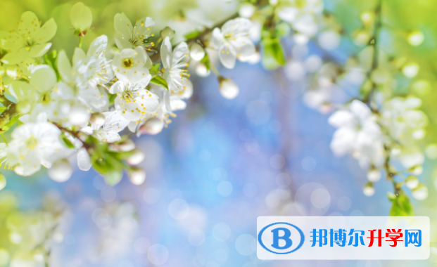 張家口2021年中考查詢(xún)成績(jī)