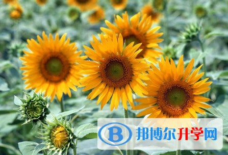 秦皇島2021年中考成績?nèi)绾尾樵? width=