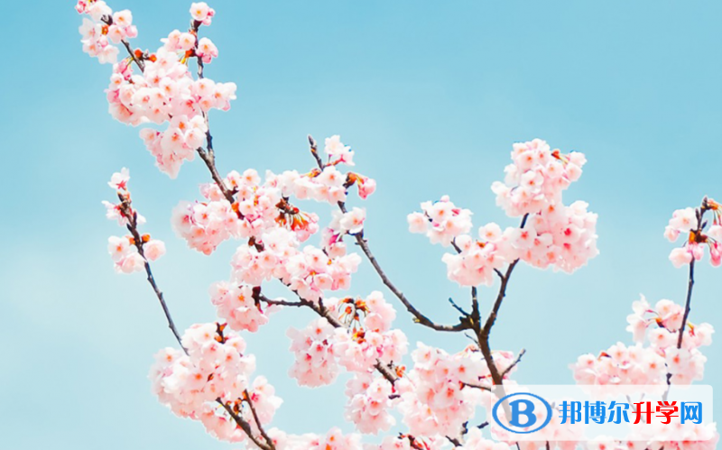 張家口2021年如何填中考學校