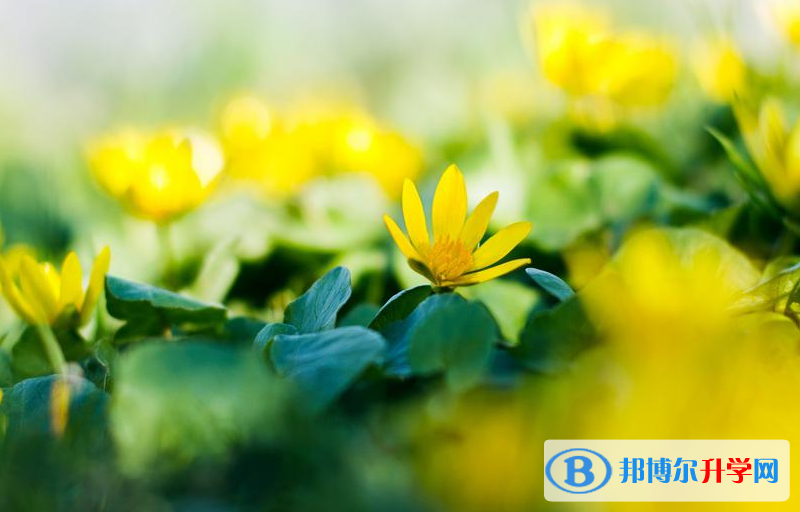 張家口2021年中考報志愿時間