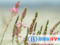 秦皇島2021年中考報(bào)志愿時(shí)間