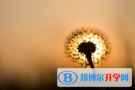 承德2021年網(wǎng)上查詢中考成績怎么查詢