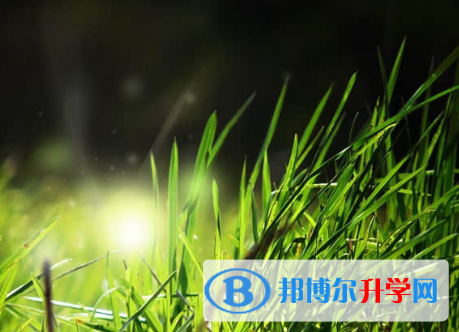 承德2021年中考查詢系統