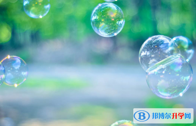 張家口2021年中考網(wǎng)報(bào)