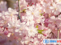 張家口2021年中考網(wǎng)絡(luò)服務(wù)平臺