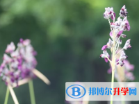 承德2021年中考成績(jī)查詢時(shí)間