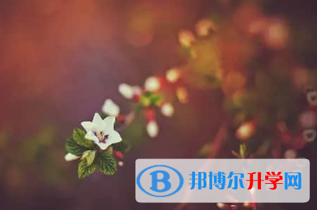 承德2021年中考成績什么時候公布