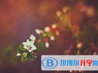 承德2021年中考成績(jī)什么時(shí)候公布