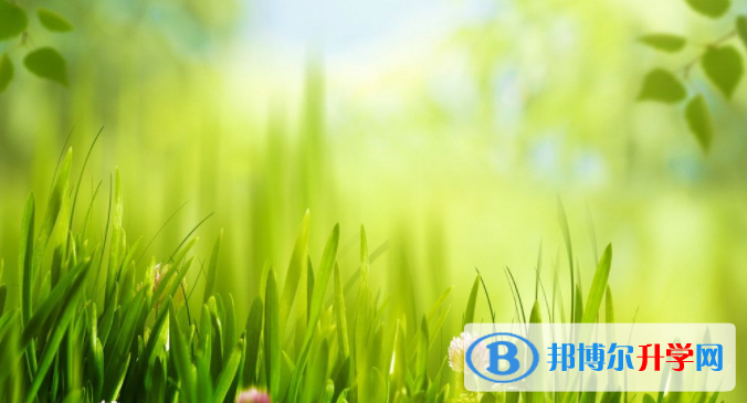 張家口2021年中考報名服務平臺
