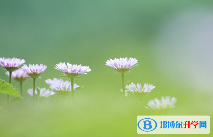 張家口2021年中考孩子的營(yíng)養(yǎng)餐