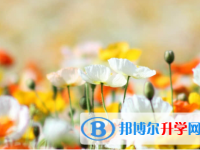 承德2021年中考怎樣調劑