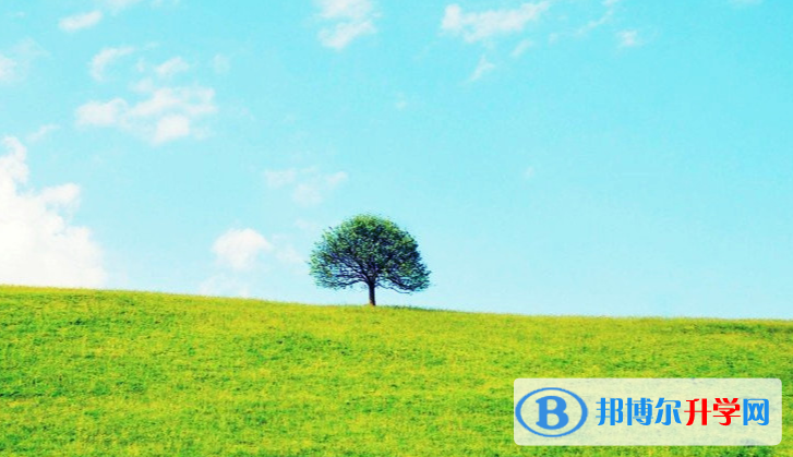 張家口2021年孩子中考沒(méi)考好如何安慰