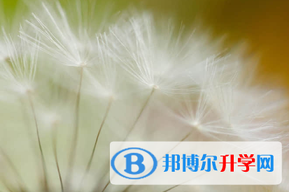承德2021年中考的統招和調劑說明