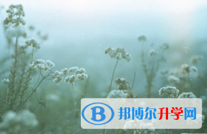 承德2021年中考技巧和注意事項(xiàng)