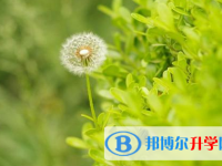 張家口2021年中考填報(bào)志愿后還可以改嗎