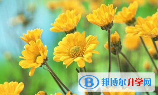承德2021年中考應(yīng)對(duì)策略