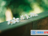 張家口2021年中考志愿如何填報(bào)